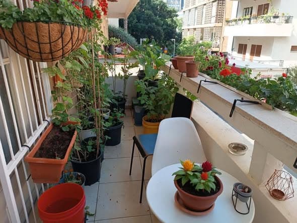 4 room sublet in Lev HaIr