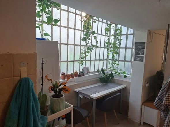  sublet in Old North - Photo 3