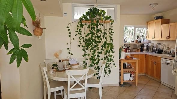 3 room sublet in Ramat Aviv