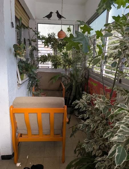  sublet in Florentin - Photo 3