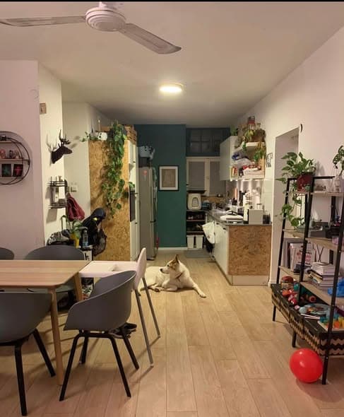 2 room sublet in Ramat Aviv - Photo 3