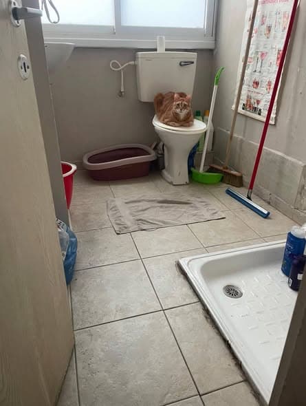 1 room sublet in Lev HaIr - Photo 3