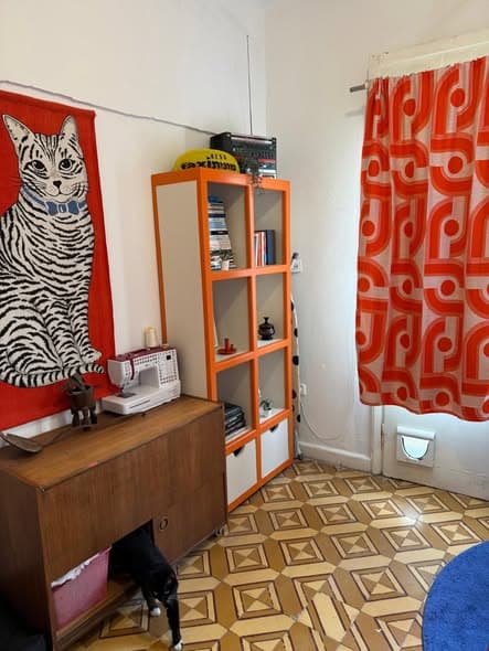 3 room sublet in Florentin - Photo 2