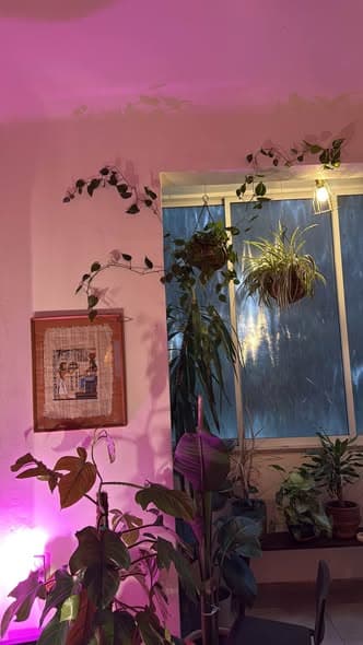 2 room sublet in Florentin
