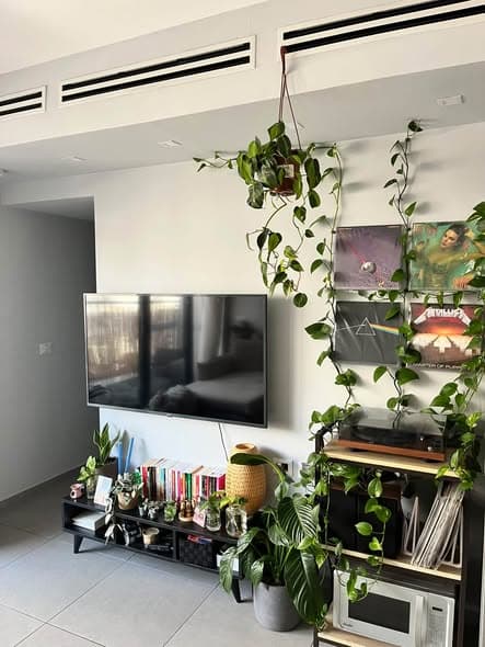 2.5 room sublet in Florentin