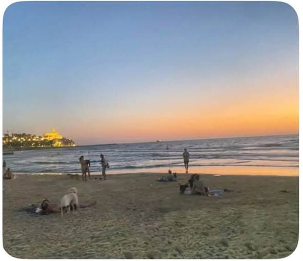  room sublet in Jaffa