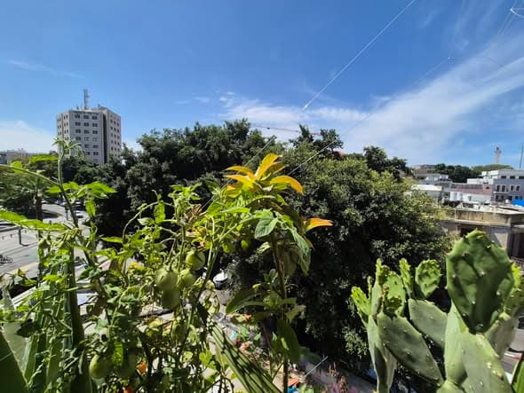  sublet in Jaffa - Photo 3