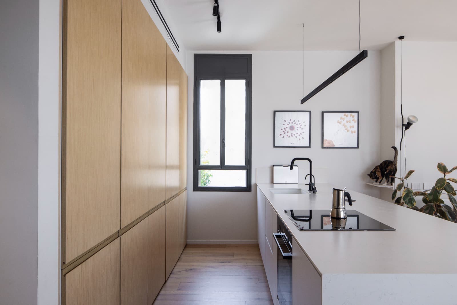 4 room sublet in Jaffa