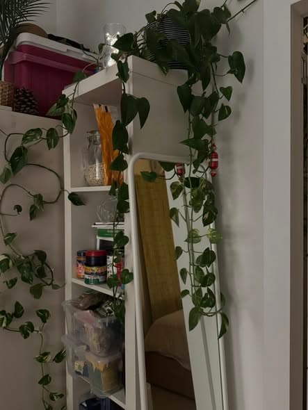1 room sublet in Florentin - Photo 3