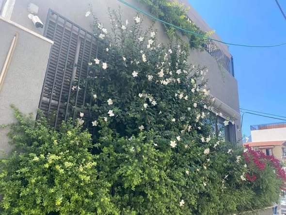 2 room sublet in Kerem HaTeimanim