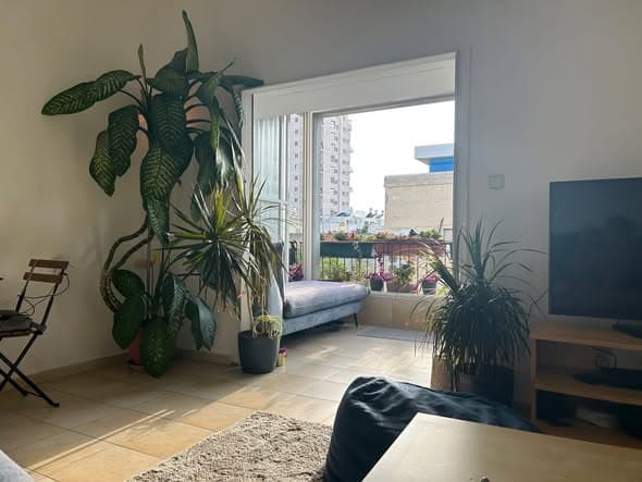 2 room sublet in Old North - Photo 1
