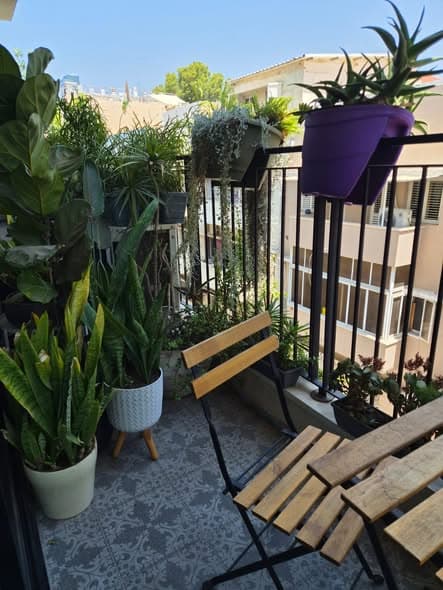 2 room sublet in Florentin - Photo 1