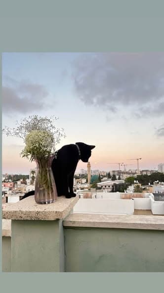  room sublet in Jaffa