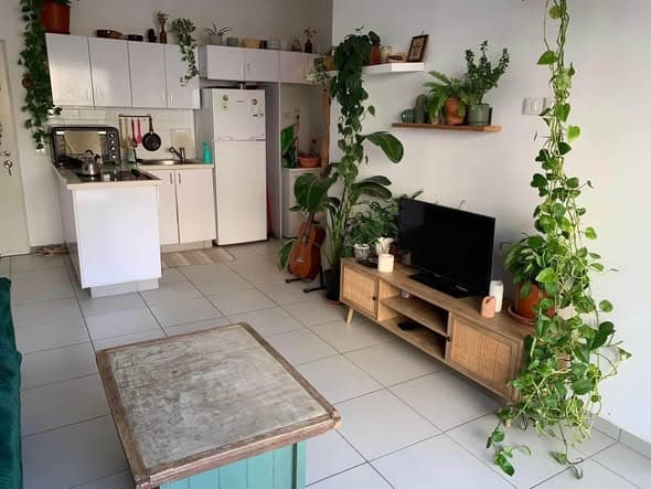 2 room sublet in Florentin - Photo 2