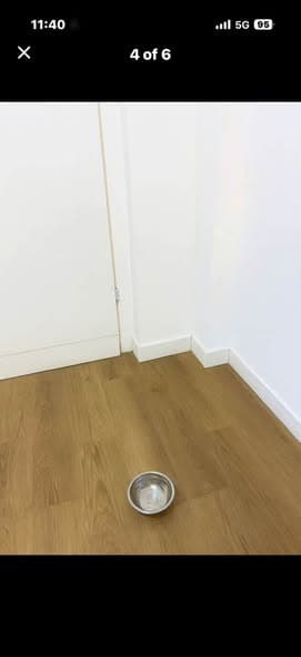  room sublet in Lev HaIr