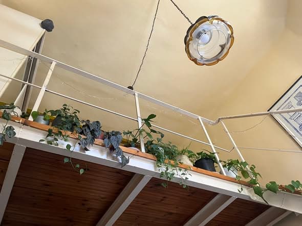 1 room sublet in Neve Tzedek