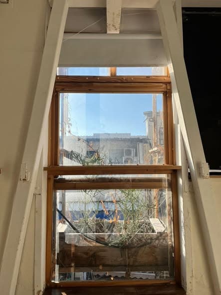 4 room sublet in Florentin - Photo 3