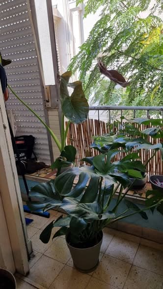 2 room sublet in Lev HaIr - Photo 4