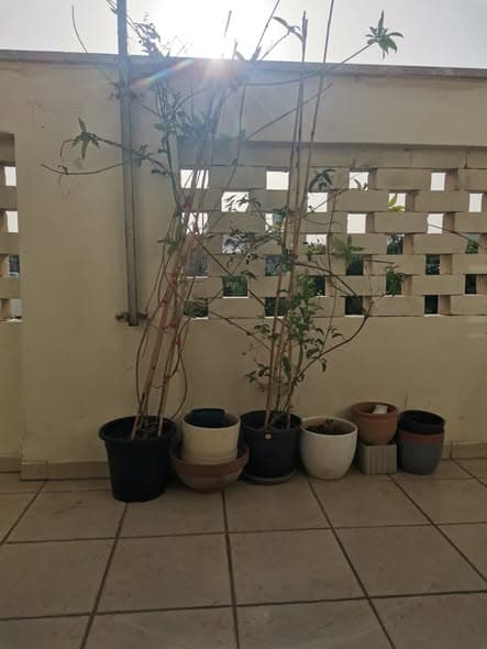 1 room sublet in Jaffa - Photo 3