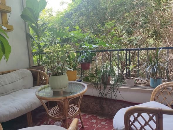 2.5 room sublet in Old North - Photo 1
