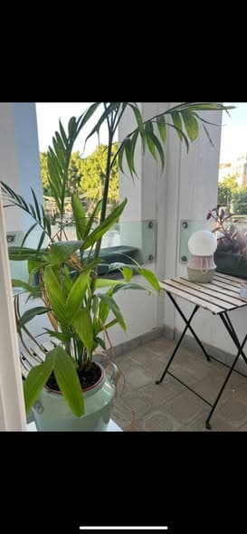 3 room sublet in Kerem HaTeimanim - Photo 4